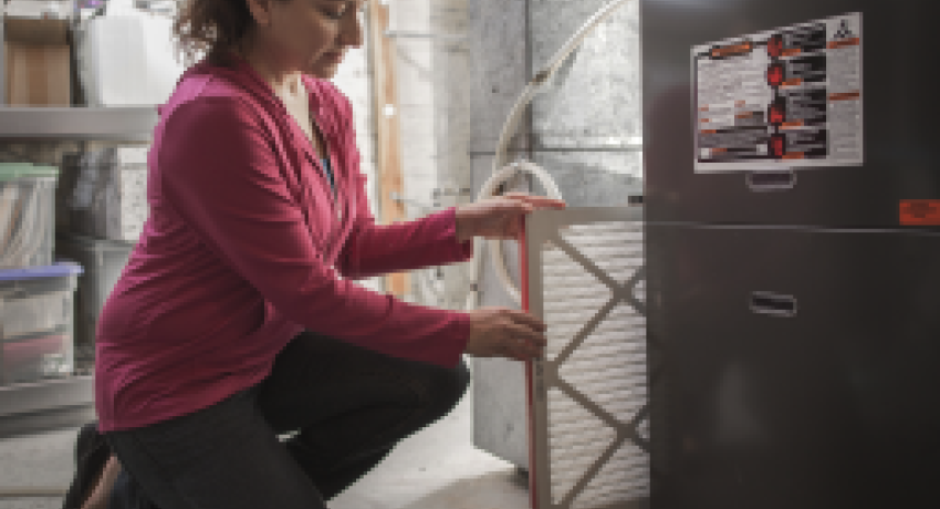 Get Your House in Shape for Summer