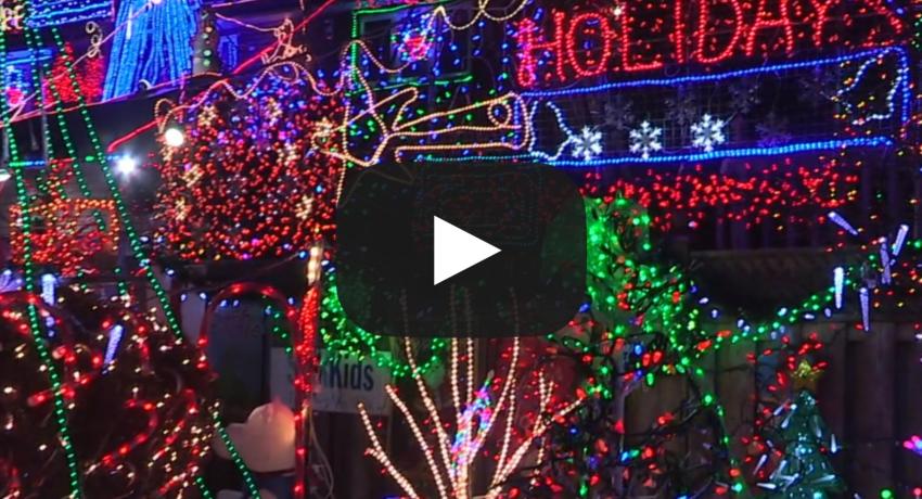 holiday Christmas lights