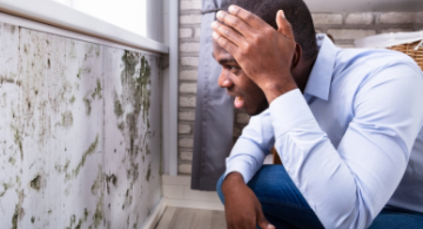 Photo of man looking at mold-covered wall