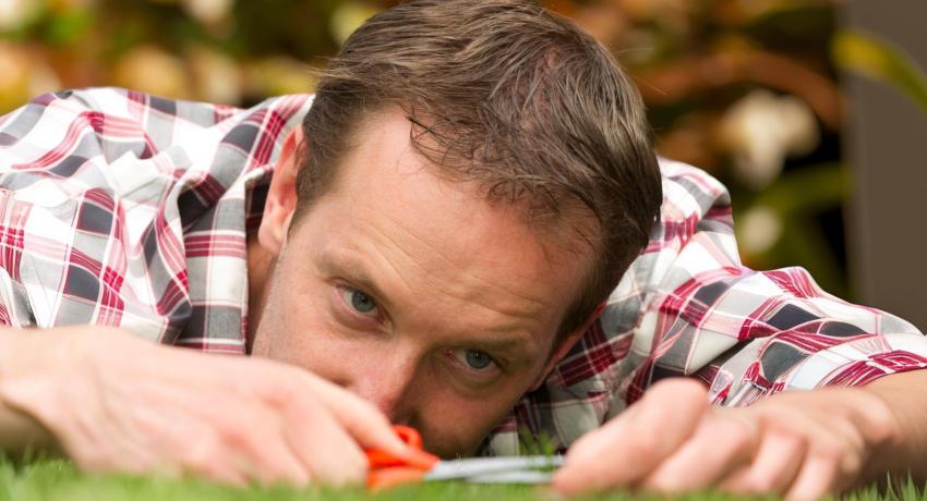 Photo of man, lying on lawn, cutting grass with scissors