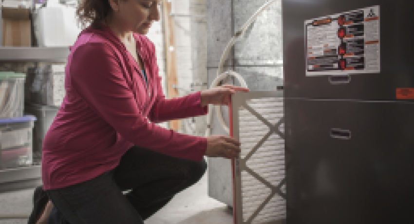 Get Your House in Shape for Summer