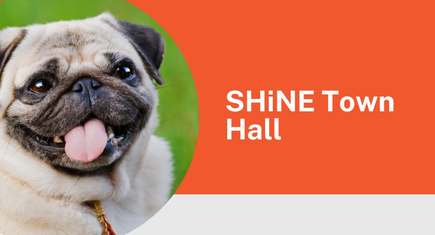 SHiNE Town Hall 
