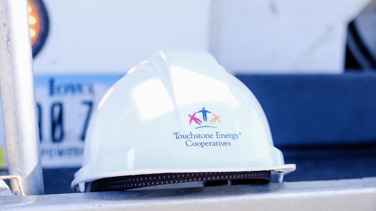 邦楽 OUR EXCELLENT ENERGY STAFF Comfort & Security Bundle | ecobee