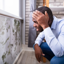 Photo of man looking at mold-covered wall