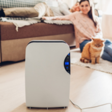 Couple and cat looking at dehumidifier